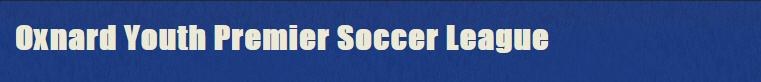 2013 OYPSL Summer League banner